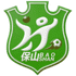 Baoshan Team 队徽